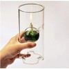 MEMEOKON Glass Oil fire Warm Light Borosilicate Includes Bliss Suspended