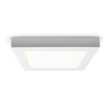 ECONOMY AR18225NW LED Panel Square with 18 W Power Assembly