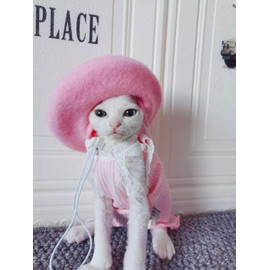 Dog Beret Hats Cats Hats Fashion Four Seasons Funny Wool Winter Pet Hat (Pink)