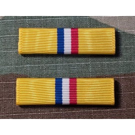 CORRECT SIZE - TXSG Service Medal Ribbon - Moiré Ribbon Made in USA - Set of 2