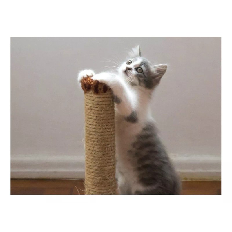 IZAM 16m Henequén Ixtle Yute Mecate Decoración 10mm -envío Gratis