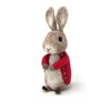 The Crafty Kit Company Bertie Bunny Needle Felting Craft Kit