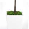 ESPIDOO 6FT Artificial Olive Tree: Modern Silk Plant with White