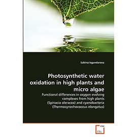 Photosynthetic water oxidation in high plants and micro algae