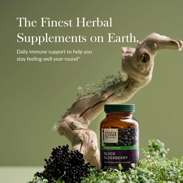 Black Elderberry - Daily Immune Support Supplement to Help Maintain