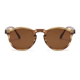 LJCZKA Retro Round Polarized Sunglasses Mens Womens, Vintage Polarised Sunglasses Classic Trendy Shades Unisex UV400 Protection