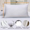 Queen Size 4 Pack Pillow Inserts, Pillows for Sleeping 4