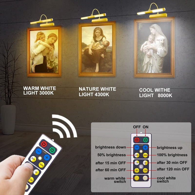 LUXSWAY Wireless Picture Light with Remote Control,Battery Operated Painting Light