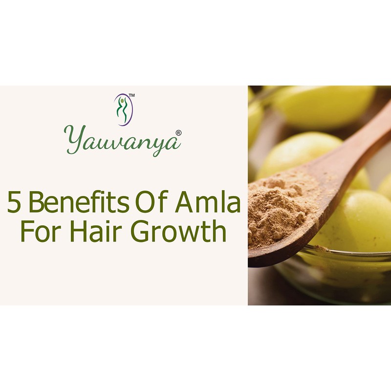 Yauvanya Pure Amla (Indian Gooseberry) Powder for Hair 3 x