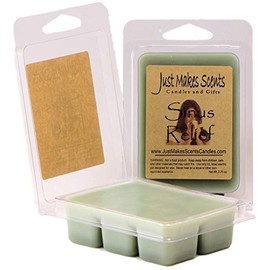 Just Makes Scents 2 Pack - Sinus Relief Scented Wax Melts with Camphor and Eucalyptus