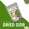 Wholesale Seder Sidr Dried Broken Leaves Leaf (Lote Tree Jujube