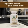 Hongo Melena De León 60 Cápsulas Lions Mane Mushroom Supplement,