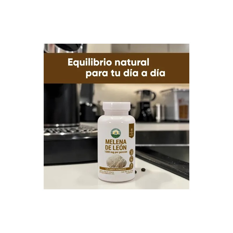 Hongo Melena De León 60 Cápsulas Lions Mane Mushroom Supplement,