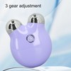 Facial Massage Roller Device Skin Lifting Tightening Face Beauty Massage