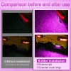 RL Purple License Plate Light Extremely Bright LED Assembly Fits