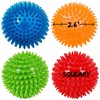 CIAN Assorted Dog Balls Interactive Pet Toys Multi Pack (Small