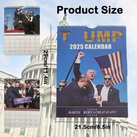 2025 Wall Calendar Funny Wall Calendar - Jan 2025 - Dec 2025 Calendar Planner 2025 for Home, Office(Full Colour, 29 * 21.5cm/ 11.4 * 8.5in)