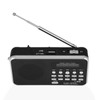 Portable Digital Audio Player HiFi Music Speaker Support FM Radio