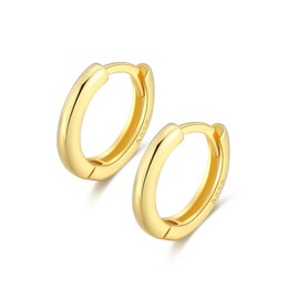 925 Silver Earrings 8mm Sterling Silver Gold Plated Cartilage Tragus Helix Conch Cartalidge Hinged Huggie Hoops Earrings Piercings