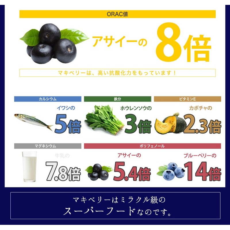 オーガランド マキベリー 200g（約33杯分）スムージー 置き換え 粉末 ベリー 粉末 スーパーフード