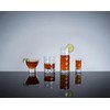 Viski Raye Gem Crystal Highball Tumblers Set of 2 -