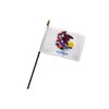 Illinois 4x6in Stick Flag - 1 dozen pack