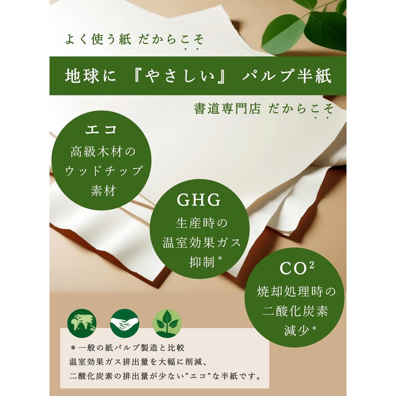 Daishodo Calligraphy Semi Paper for Practice, Beginners (Easy to Write),