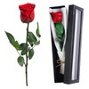 Eternal Rose Red Eternal Real Roses Infinity Roses Gift Box