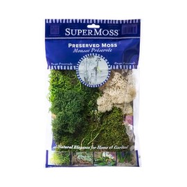 SuperMoss (23300) Moss Mix – Premium Decorative Moss for Crafts, Terrariums, Wedding & Table Décor, 80.75 Cubic inches (Approx. 2 oz), Delaware