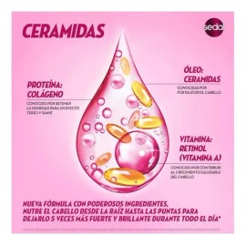 Shampoo Sedal Hotelero 576 Sobres De 10ml                                                                                                             