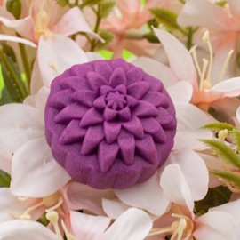 Bluestar MAX - Prensa de molde floral para galletas y pasteles, prensa de mano, 4 piezas de sellos de flores y kit de molde para decoración de pasteles, margaritas, gerberas, crisantemo y girasoles