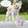 PAPIEEED Puppy Harness & Leash Set, Soft Mesh Padded Cat