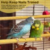 S&X Sanded Perch Covers for Parakeets, Lovebirds, Parrotlets, Finches, Canaries,