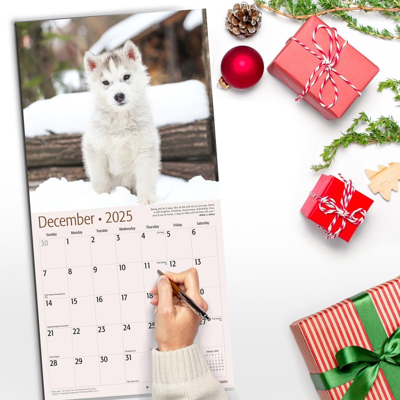 RED EMBER Siberian Husky Puppies 2025 Wall Calendar 12 Month