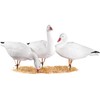 Heerweiyi Realistic Snow Goose Decoys - Durable and Detailed Hunting
