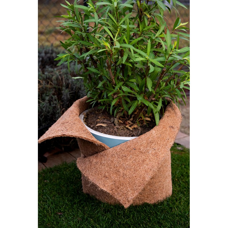 MC.Sammler Coconut Mat Winter Protection Cold Protection for Plants Sold
