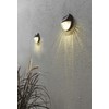 Best Season Solar Lighting Fency Brown, 11 x 11 x