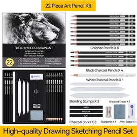 Drawing Sketching Pencil Set, 22 count Pro Art Pencil Kit - Graphite Pencils (12B-2H), Black and White Charcoal Pencils, Charcoal Sticks, Stumps, Eraser, Sharpeners - Colour: 22
