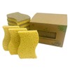 10 Pack Non - Scratch Plant Based Scrub Sponge |