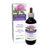 Naturalma Red Clover (Trifolium pratense) herb with Flowers Alcohol-Free Tincture