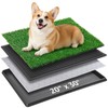 Portable Dog Grass Pad with Tray 20''x30'': Dog Litter Box