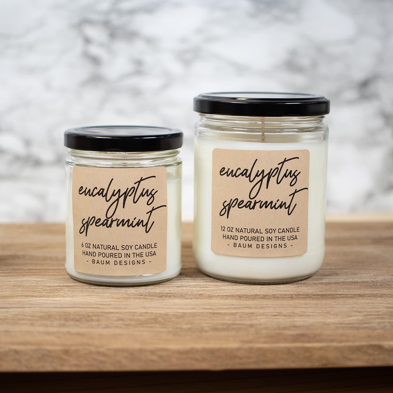 Scented Soy Candle (Eucalyptus Spearmint, 12 oz.)