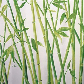 Spirella Anti-Mould Shower Curtain – Anti-Bacterial, Washable, Waterproof, Polyester, Bamboo, 180 x 200 cm, Green