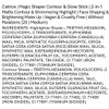 Catrice Magic Shaper Contour & Glow Stick, Contour Pen, No.