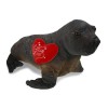DolliBu Valentine Plush Wild Collection Sea Lion with Red Heart