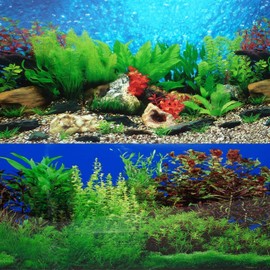 ELEBOX New 20" x 48" Fish Tank Background 2 Sided River Bed & Lake Background Aquarium