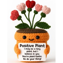 Affirmations Crochet Flowers – Positive Plant Gift for Encouragement & Motivation – Cute Women Desk Decor for Growth Mindset, Emotional Uplifting, Teachers Day for Students, Best Friends Graduation