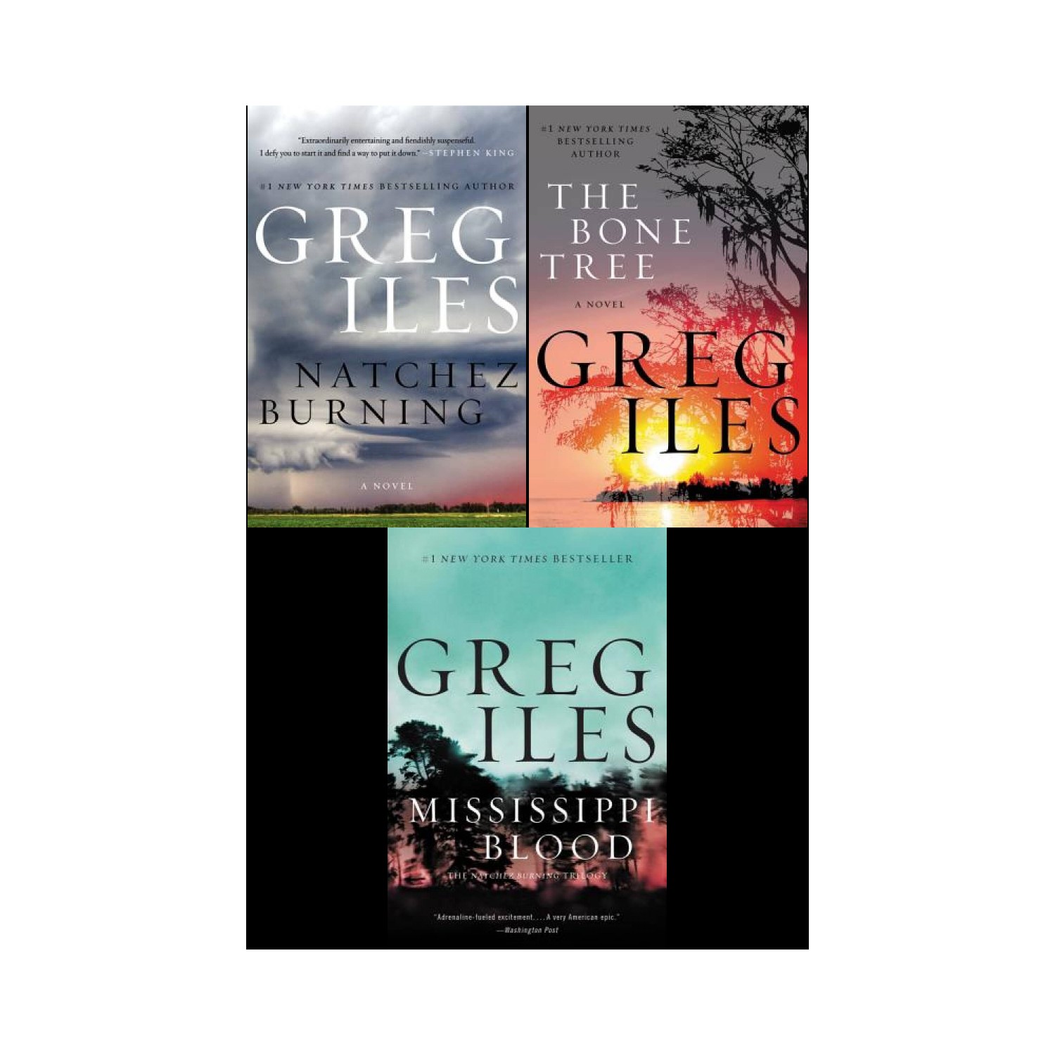 Natchez Burning book by Greg Iles by Greg Iles |Attic Books kenya