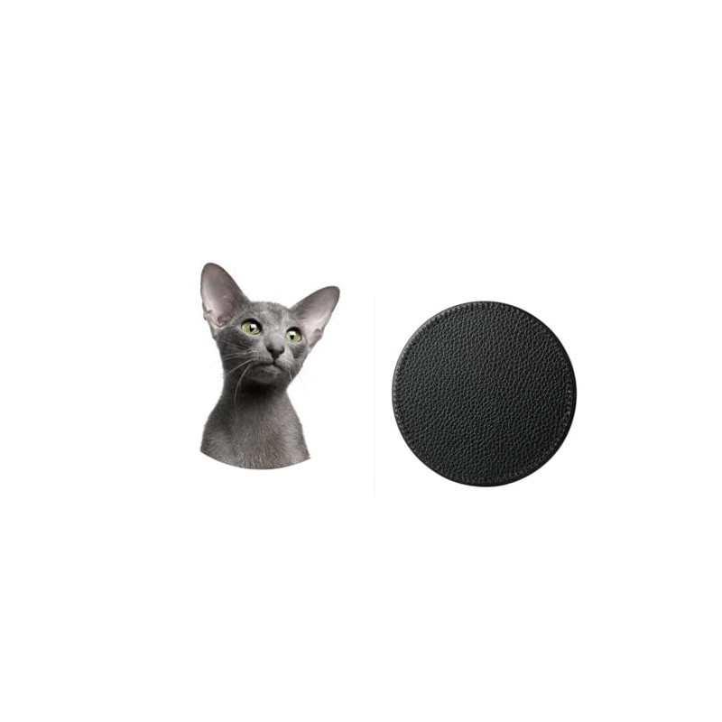 Set Of 4 Oriental Cat Pet Family Synthetic Leather Round