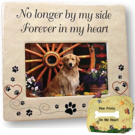 BANBERRY DESIGNS Pet Loss Gift Set - Pet Remembrance Picture Frame and Desktop Sized Memorial Rock - Loss of a Dog Gift